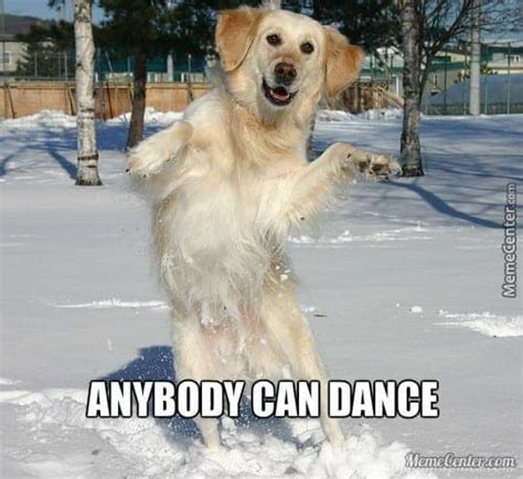 dancing dog meme